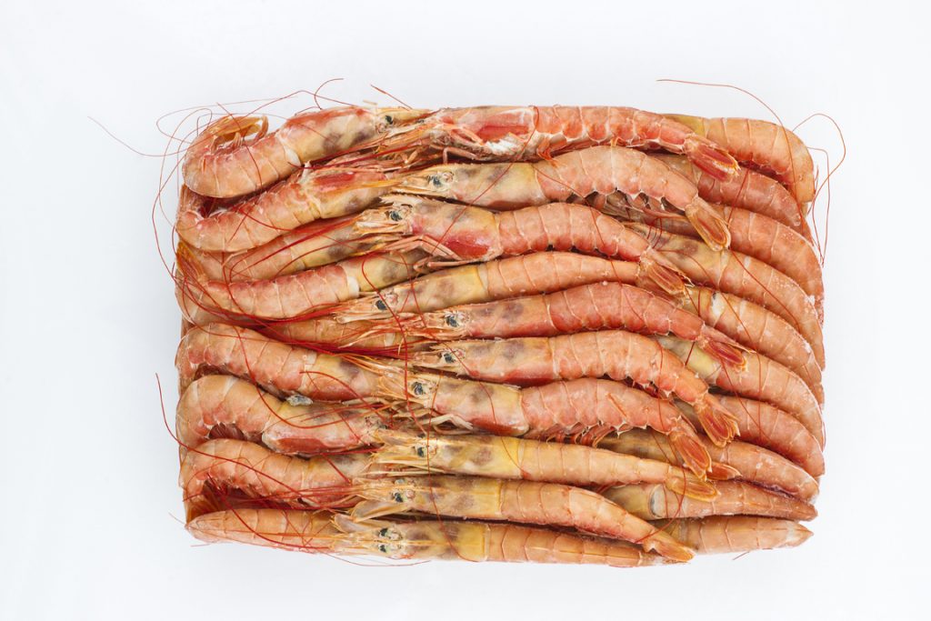 Shrimps and Prawns FESBA