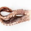 Raw Giant Squid Tentacles