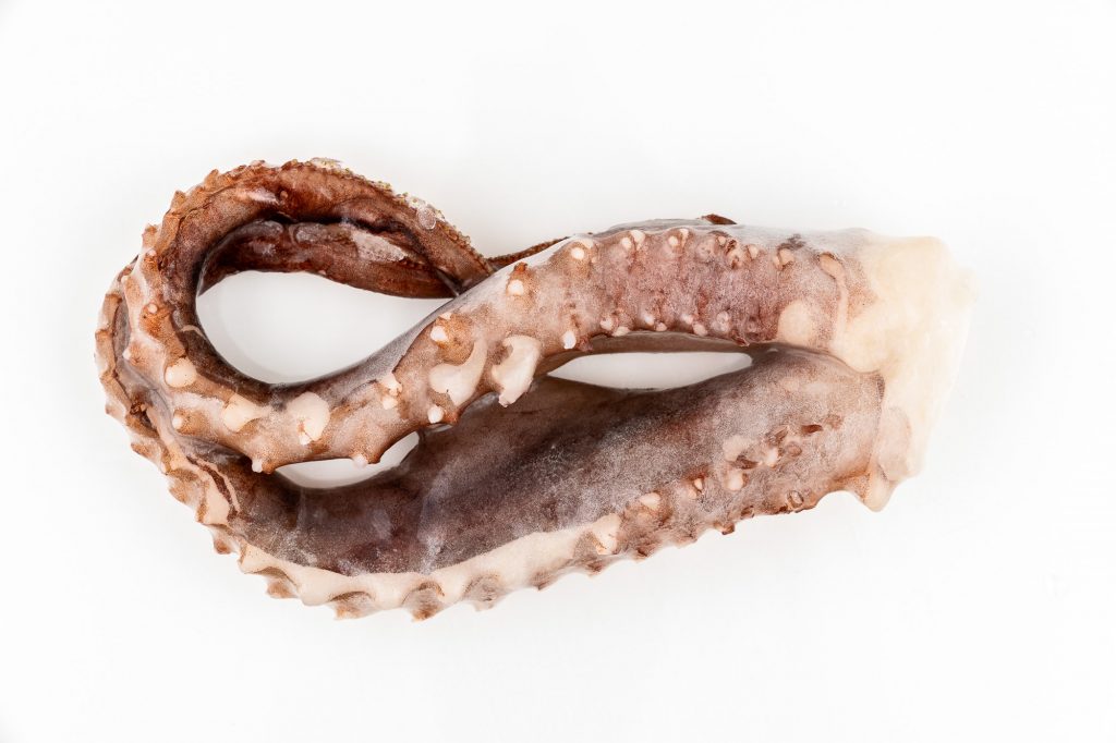 Tentáculo de Potón Crudo - FESBA