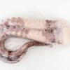 Raw Giant Squid Tentacles - Image 4