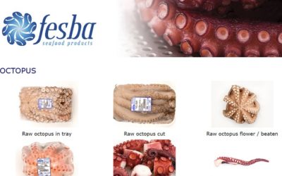 Spanish octopus, jumbo squid processor Fesba expands plant, eyes growth