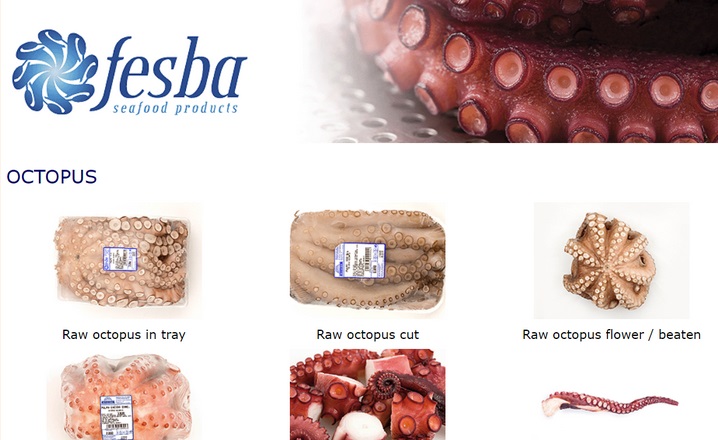 Spanish octopus, jumbo squid processor Fesba expands plant, eyes growth