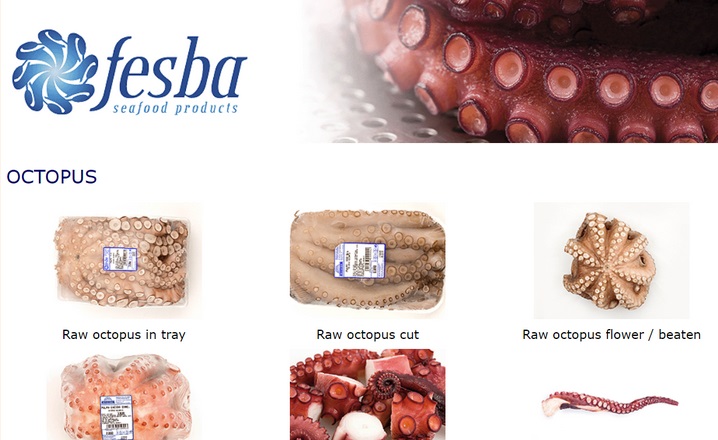 Fesba, procesador de pulpo y potón, con vistas a aumentar su capacidad productiva