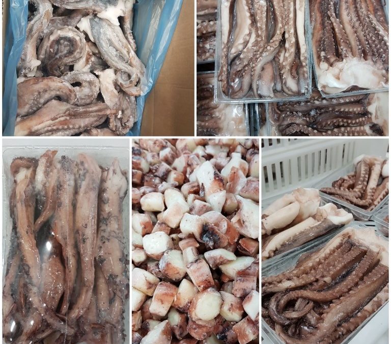 Fishery Progress | Peruvian jumbo flying squid FIP is now available