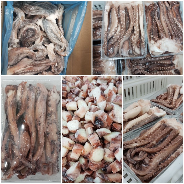 Fishery Progress Peruvian jumbo flying squid FIP is now available FESBA