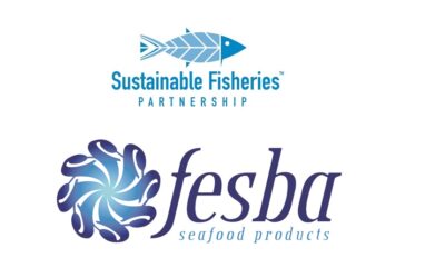 FESBA se une a la Mesa Redonda de Empresas del FIP del Calamar Dosidicus gigas
